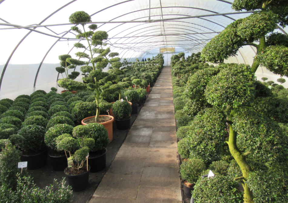 Musik auf dem Messefest